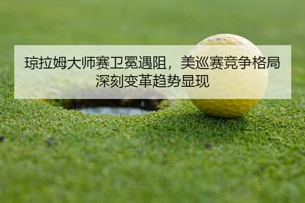 qiong-la-mu-da-shi-sai-wei-mian-yu-zu-mei-xun-sai-jing-zheng-ge-ju-shen-ke-bian-ge-qu-shi-xian-xian-3-164.jpg