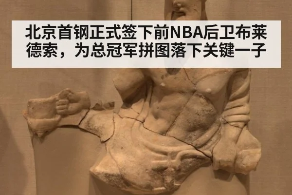 北京首钢正式签下前NBA后卫布莱德索，为总冠军拼图落下关键一子