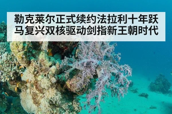 勒克莱尔正式续约法拉利十年跃马复兴双核驱动剑指新王朝时代